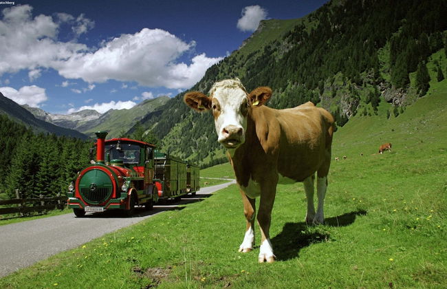 Holiday Home in Rennweg Near Ski Slopes - Photo 54