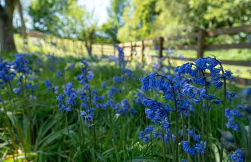 Newtonmill - Tranquillity in Rural Angus - Photo 13