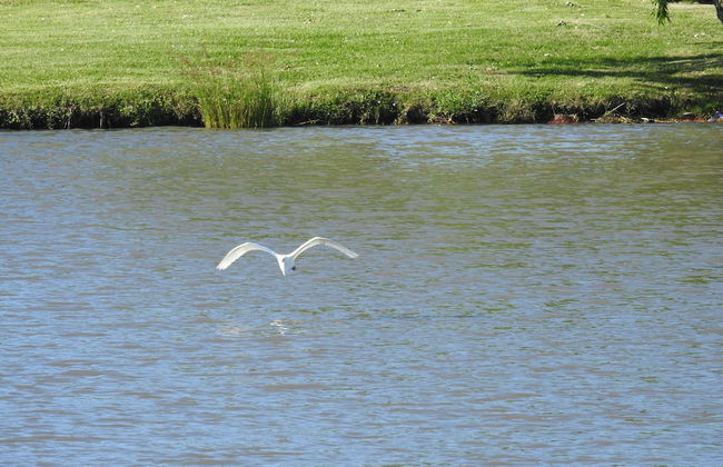 Ventarrón - Photo 16