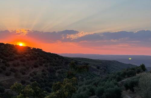 Casa Rural La Moraleja - Foto 18