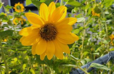 Monopoly Place - Foto 10