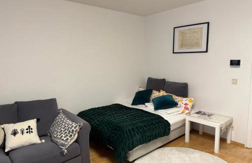 Waldshut -Kaiser55 - Foto 31