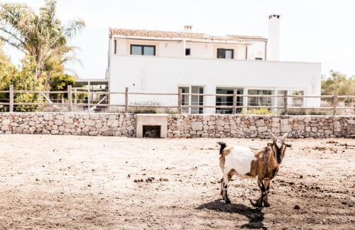 Masseria Prosperi - Photo 30