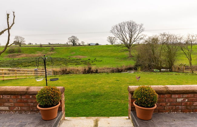 The Patches - Photo 49