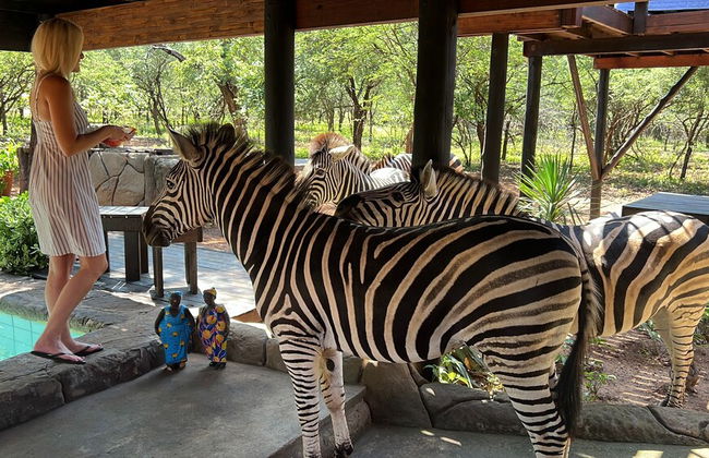 Kruger Kumba - Mugwenzi - Photo 47