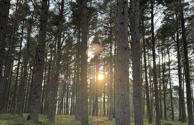 Highland Chalet Retreat in Boat of Garten - Foto 21