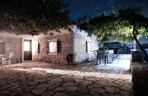 Olive Roots - Foto 56