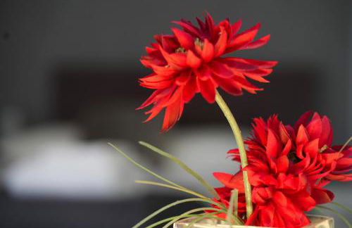 Redbourne Terrace Holiday Home - Foto 15