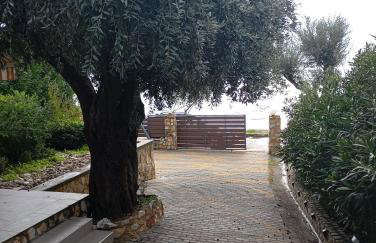 Δίπλα στο κύμα -Βeside the wave - Foto 6