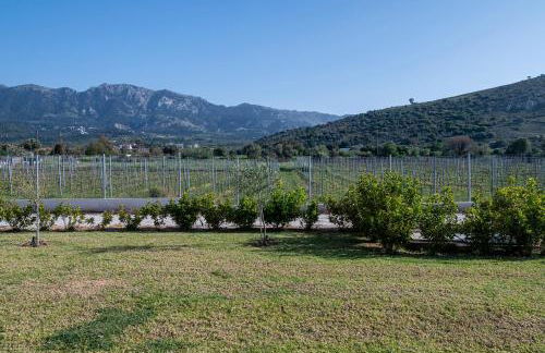 Olive Tree Garden - Foto 42