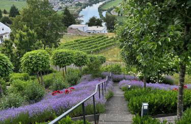 Ferienwohnung "Auszeit Im alten Weinberg" - Foto 5