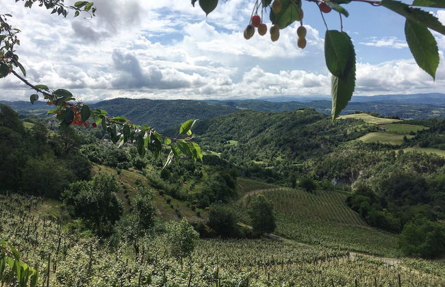 Cascina Bertolotto Wine Resort. - Foto 31