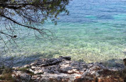 Apartmani Nena - Foto 4