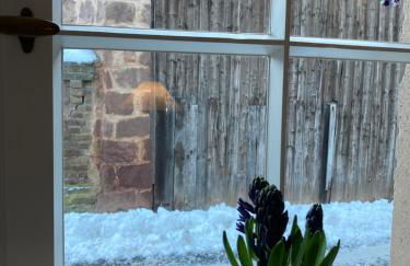 Cherrytree Cottage 1840 - Foto 42