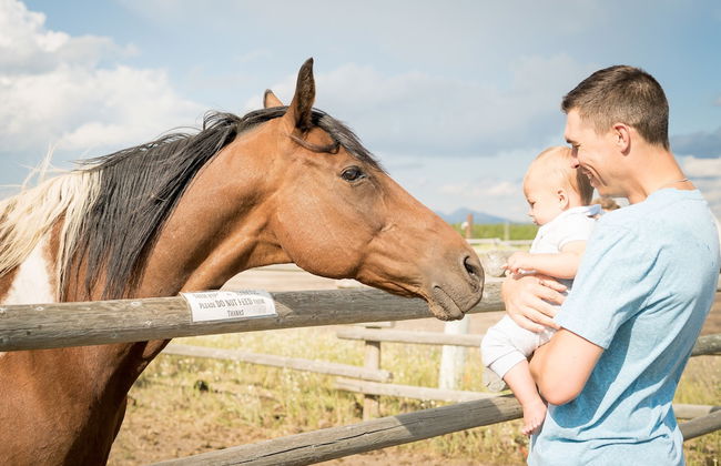 Bar N Ranch - Photo 61