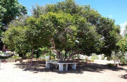 Pousadinha Mangabeiras Familia e Grupos - Foto 17