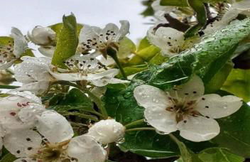 Anna - Maria Luxury Suite - Photo 49