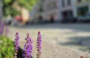 Luxury Apartments Kamienna Góra - Foto 18