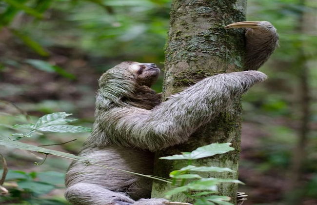 2-BD Ocean-View Condo on 3rd Floor - Foto 38