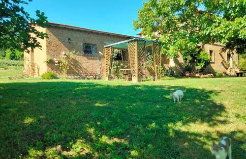 Tenuta Vallenoci - Foto 11