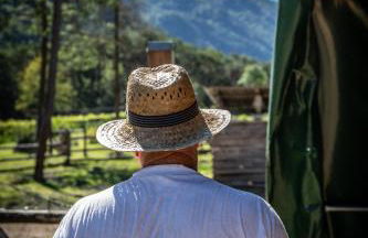 Bosc del Meneghì - Foto 30