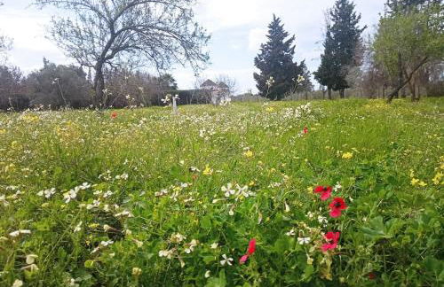 La Casa de la Abuela - Foto 13