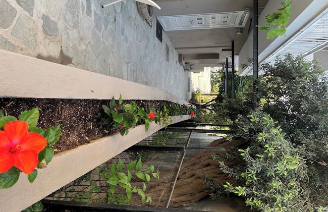 Room in Studio - Beautiful Room for 3 People in Limenaria, Only Five Minutes Away From Center - Foto 8