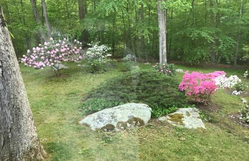 Midcentury Modern ZenHouse Sculptor Studio - Foto 24