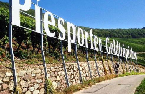 Ferienwohnung Moselnest - Foto 10