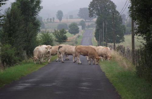 Vue du Pont - Photo 46