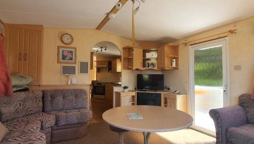 Holenderki na Zielonych Wzgórzach, Łowyń - Foto 2