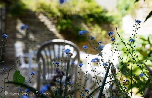 La Victoire de Noyers - Foto 68