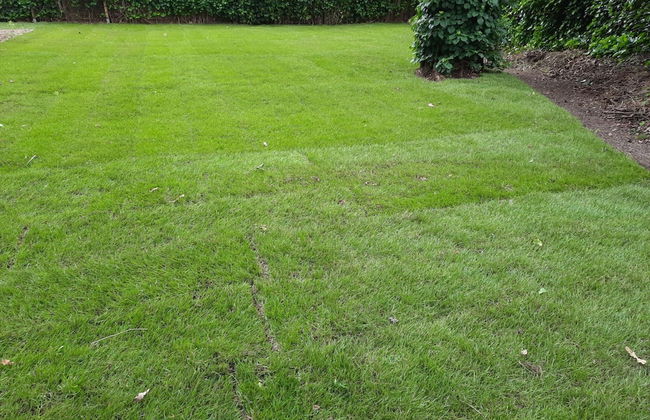 Detached House in Lanaken With Large Garden - Foto 28