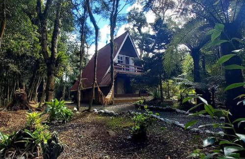 Cabana dos Alpes - Foto 3