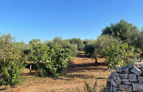 Trulli Fichi Luxury Trullo with Private Spa and Saltwater Pool - Foto 26