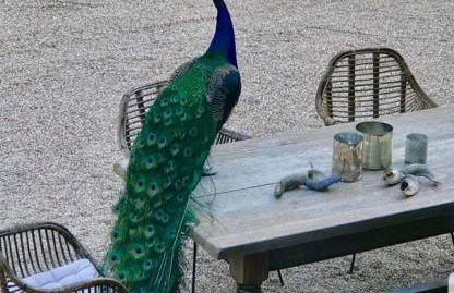 Wohnung für 12 Personen mit 6 Bädern - Photo 8