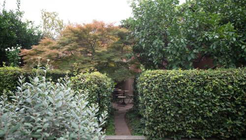 Forum Apartment - Foto 5