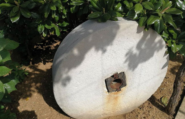 Apartments Kola - Foto 48