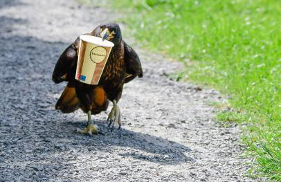 Der Eifel Perle Manderscheid - Foto 38