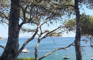 Paradis carry - Foto 2