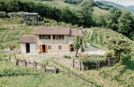 Agriturismo Il Conte Vassallo - Foto 1