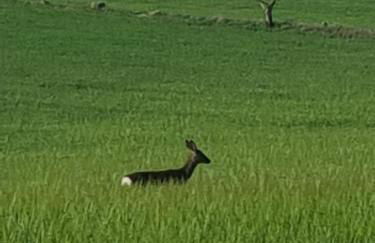 Masia de Queralt Luxury Casa Rural Spa y Vistas - Foto 134
