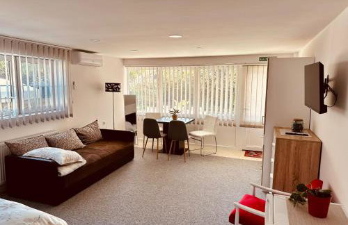 Studio Apartman Iovia place - Foto 1