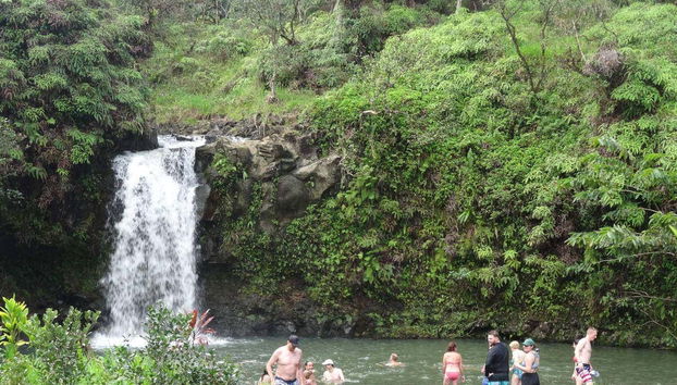 Cascada tropical en Maui