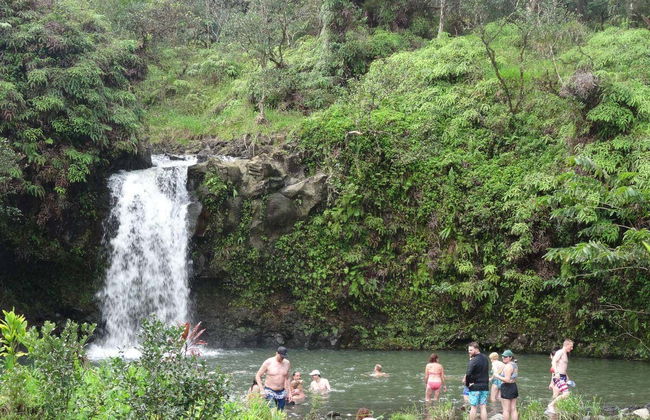 Tour por la carretera de Hana - Foto 2