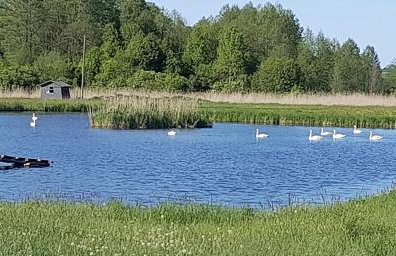 Agroturystyka Grodzisko - Foto 15