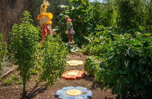 Il Campo di Nonno Giò - Foto 46