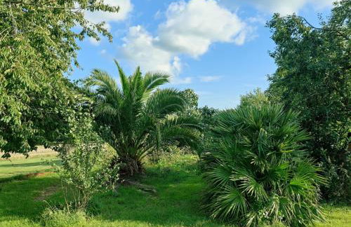 Longère de charme - Foto 22
