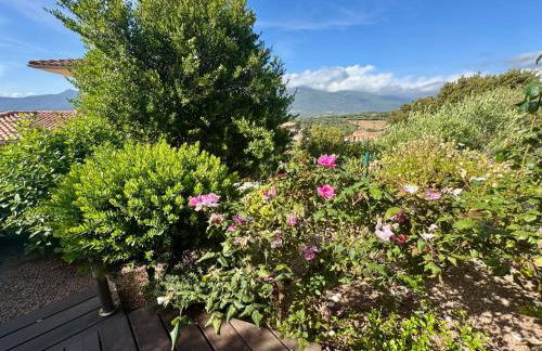 Deux pièces tout confort sur les hauteurs de Propriano - Foto 25