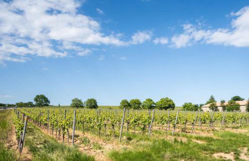 Ferienhaus im Weinberg Kallstadt - Foto 2